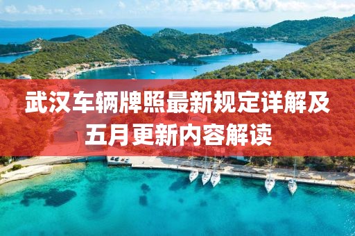 武汉车辆牌照最新规定详解及五月更新内容解读