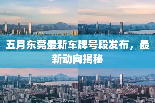 五月东莞最新车牌号段发布，最新动向揭秘