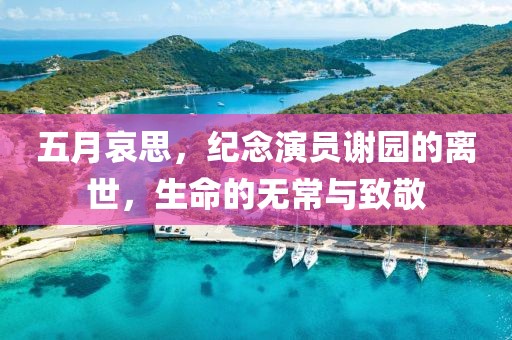 五月哀思，纪念演员谢园的离世，生命的无常与致敬