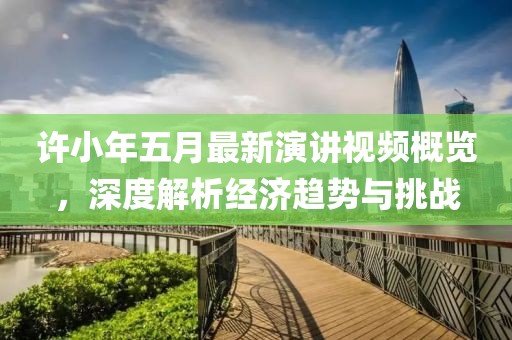 许小年五月最新演讲视频概览，深度解析经济趋势与挑战