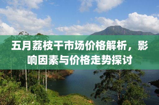 五月荔枝干市场价格解析，影响因素与价格走势探讨