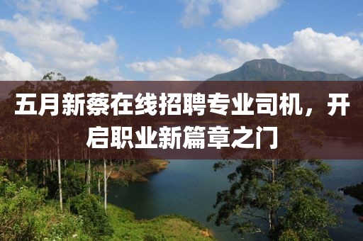 五月新蔡在线招聘专业司机，开启职业新篇章之门
