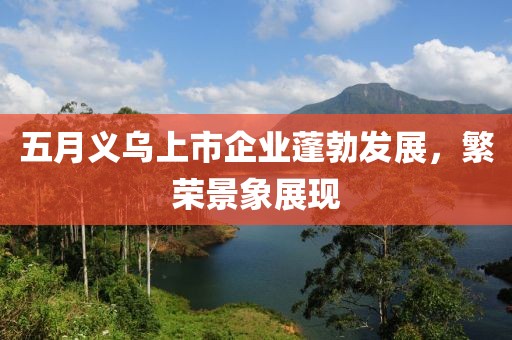 五月义乌上市企业蓬勃发展，繁荣景象展现