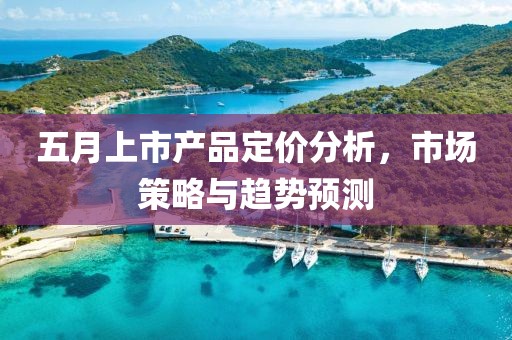 五月上市产品定价分析，市场策略与趋势预测