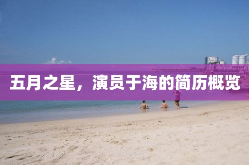 五月之星，演员于海的简历概览