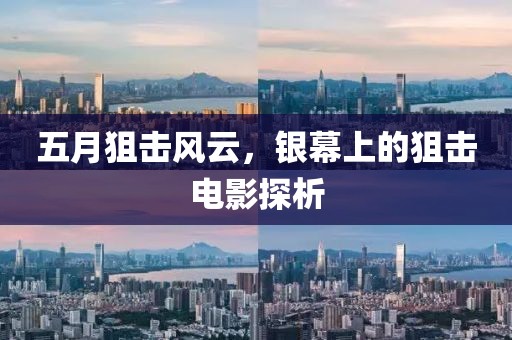 五月狙击风云，银幕上的狙击电影探析