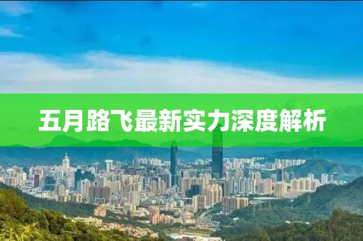 五月路飞最新实力深度解析