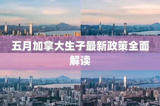 五月加拿大生子最新政策全面解读