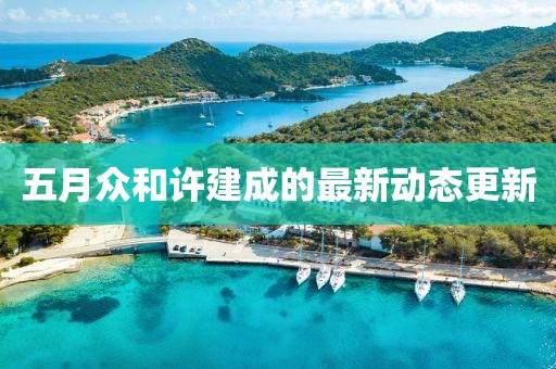五月众和许建成的最新动态更新