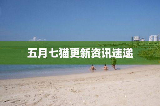 五月七猫更新资讯速递