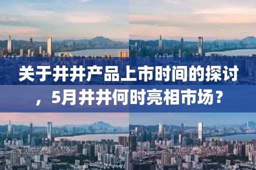 关于井井产品上市时间的探讨，5月井井何时亮相市场？