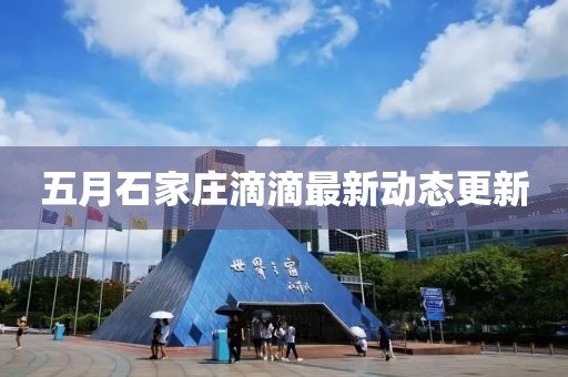 五月石家庄滴滴最新动态更新