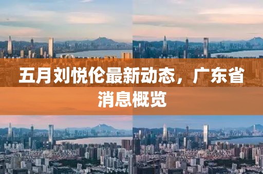 五月刘悦伦最新动态，广东省消息概览