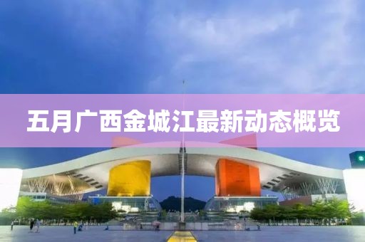 五月广西金城江最新动态概览