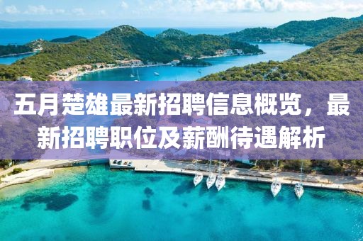 五月楚雄最新招聘信息概览，最新招聘职位及薪酬待遇解析