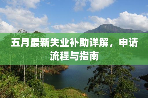 五月最新失业补助详解，申请流程与指南