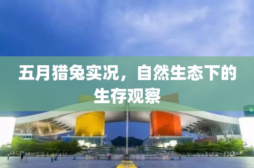 五月猎兔实况，自然生态下的生存观察