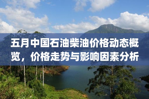 五月中国石油柴油价格动态概览，价格走势与影响因素分析
