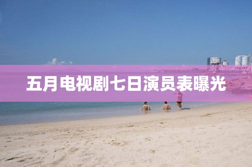 五月电视剧七日演员表曝光