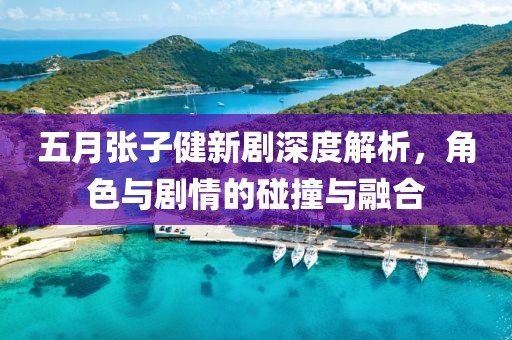 五月张子健新剧深度解析，角色与剧情的碰撞与融合