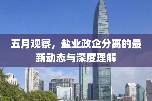 五月观察，盐业政企分离的最新动态与深度理解