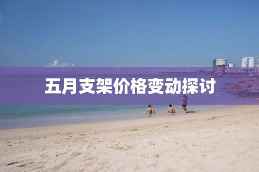 五月支架价格变动探讨