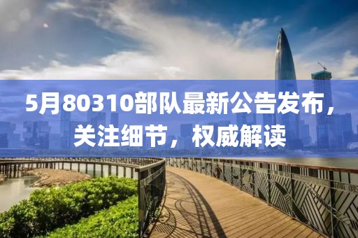 5月80310部队最新公告发布，关注细节，权威解读