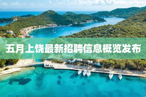 五月上饶最新招聘信息概览发布
