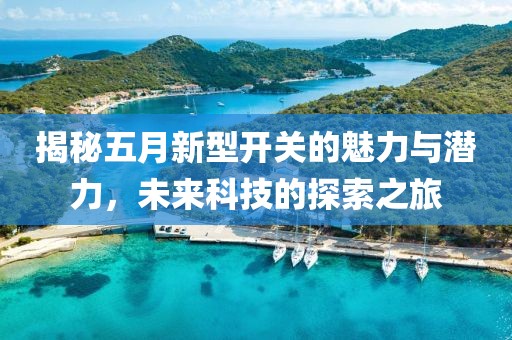 揭秘五月新型开关的魅力与潜力，未来科技的探索之旅