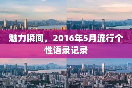 魅力瞬间，2016年5月流行个性语录记录