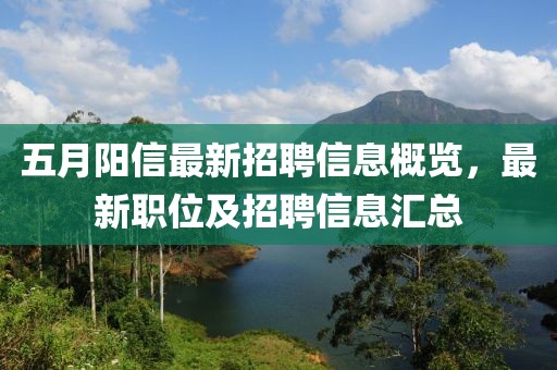 五月阳信最新招聘信息概览，最新职位及招聘信息汇总