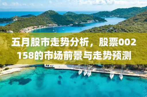 五月股市走势分析，股票002158的市场前景与走势预测