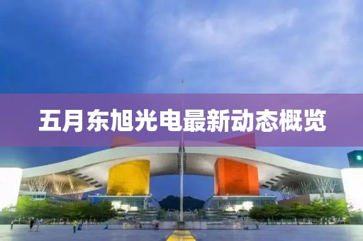 五月东旭光电最新动态概览