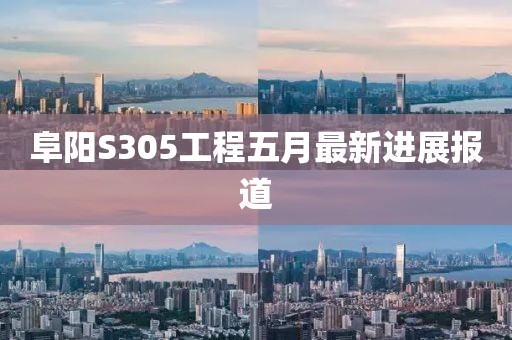 阜阳S305工程五月最新进展报道