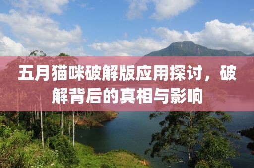 五月猫咪破解版应用探讨，破解背后的真相与影响