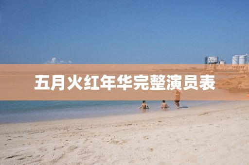 五月火红年华完整演员表