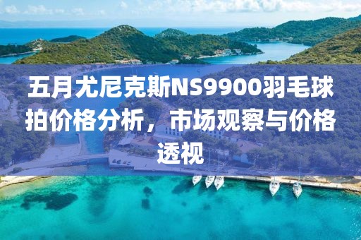 五月尤尼克斯NS9900羽毛球拍价格分析，市场观察与价格透视