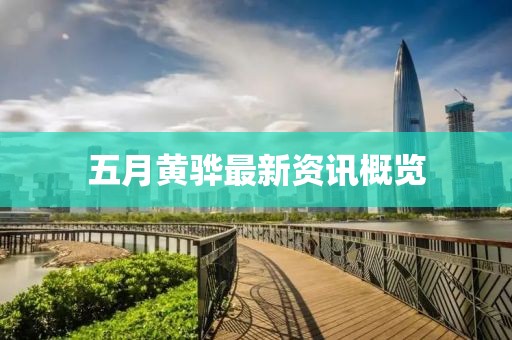 五月黄骅最新资讯概览