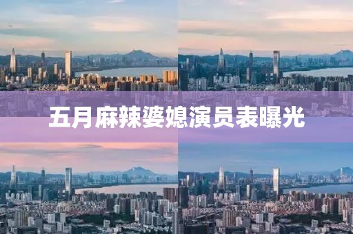 五月麻辣婆媳演员表曝光