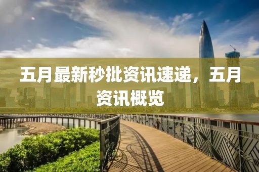 五月最新秒批资讯速递，五月资讯概览