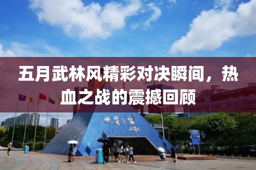 五月武林风精彩对决瞬间，热血之战的震撼回顾