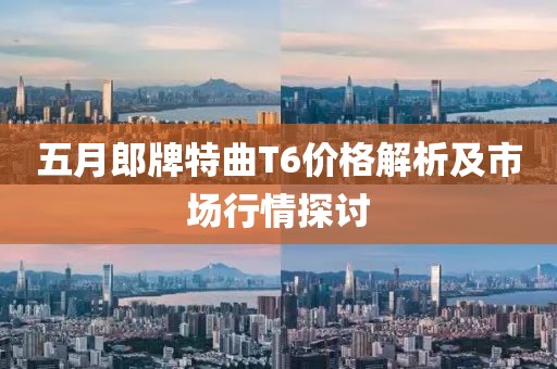 五月郎牌特曲T6价格解析及市场行情探讨