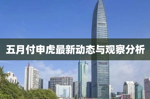 五月付申虎最新动态与观察分析