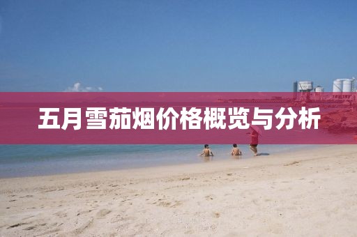 五月雪茄烟价格概览与分析