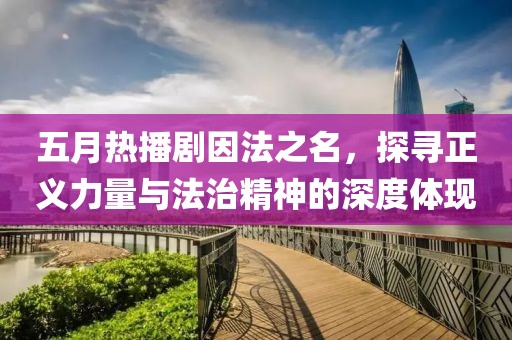 五月热播剧因法之名，探寻正义力量与法治精神的深度体现