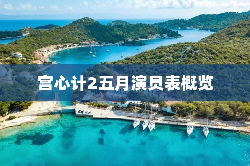 宫心计2五月演员表概览