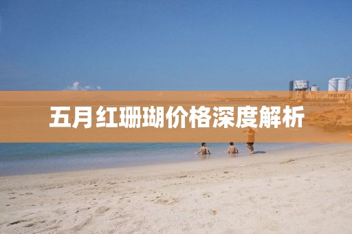 五月红珊瑚价格深度解析