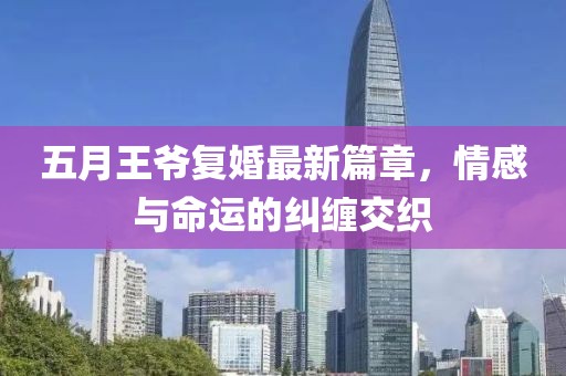 五月王爷复婚最新篇章，情感与命运的纠缠交织