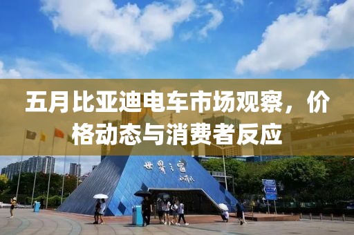 五月比亚迪电车市场观察，价格动态与消费者反应