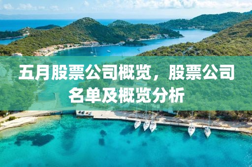 五月股票公司概览，股票公司名单及概览分析